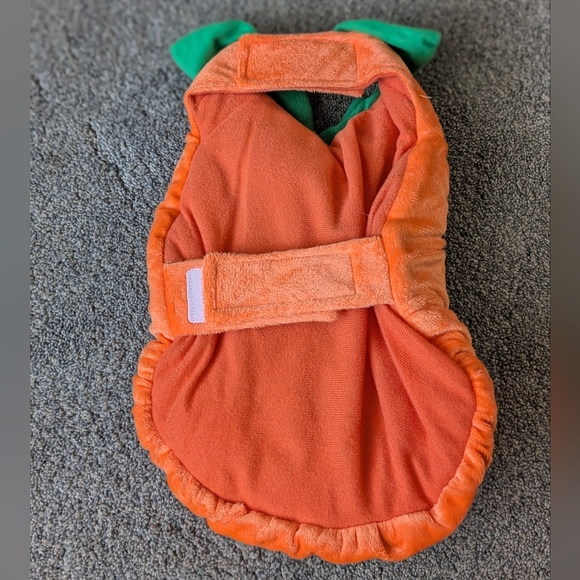 Dog Pumpkin Costume - Picture 2 of 4